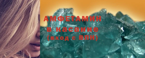 индика Медвежьегорск