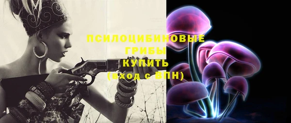 бутират Медногорск