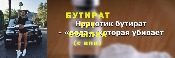 индика Медвежьегорск