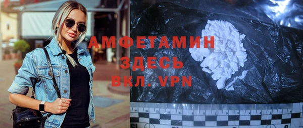 индика Медвежьегорск