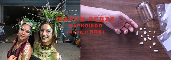 индика Медвежьегорск