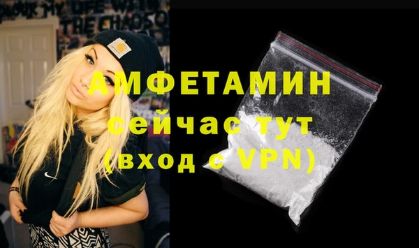 индика Медвежьегорск