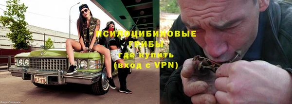 индика Медвежьегорск