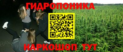 молекула духа Заводоуковск