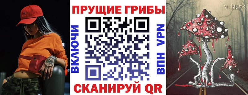 Псилоцибиновые грибы прущие грибы  дарнет шоп  ссылка на мегу   Осинники 