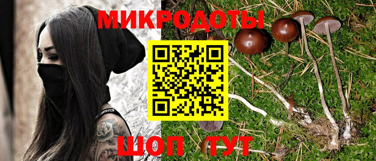 Галлюциногенные грибы MAGIC MUSHROOMS  Вход с VPN  Осинники 
